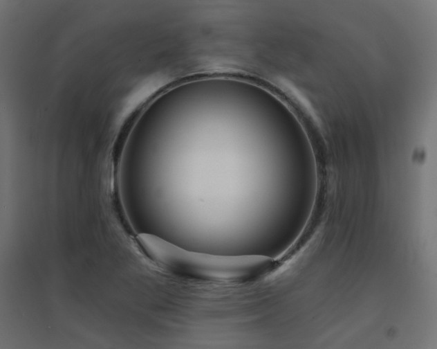 X0000094901269200711291224