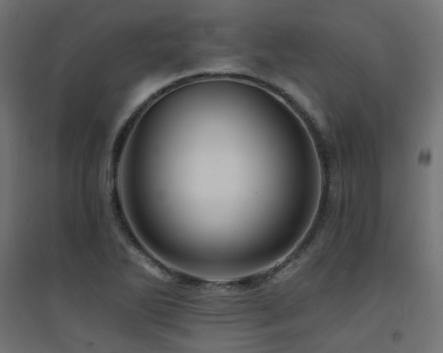 X0000094901270200711291224