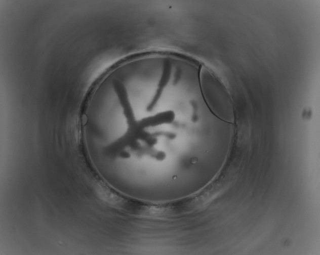 X0000094901271200711291224