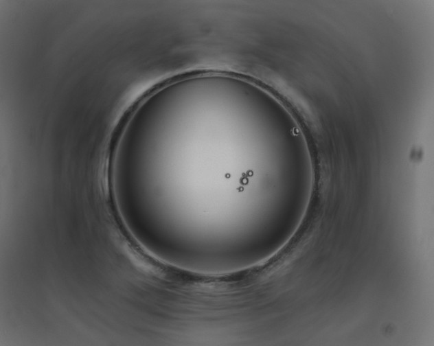 X0000094901272200711291224