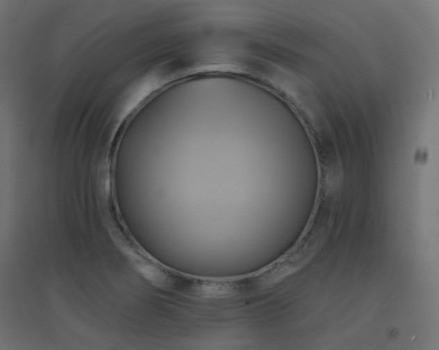 X0000094901274200711291224
