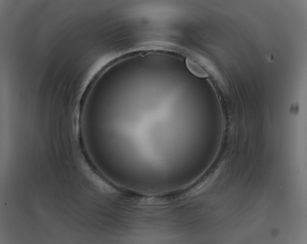 X0000094901275200711291224