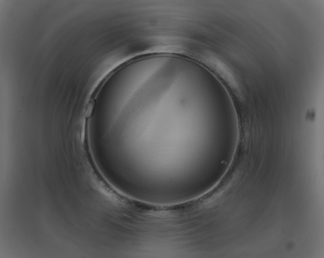 X0000094901276200711291224