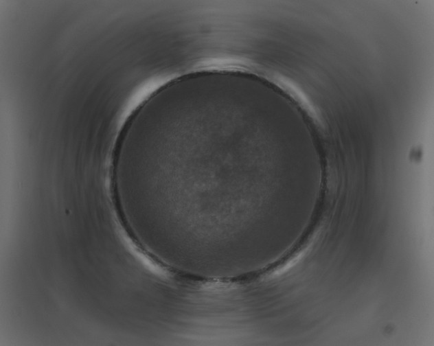 X0000094901277200711291224