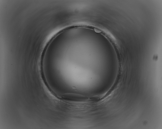 X0000094901279200711291224