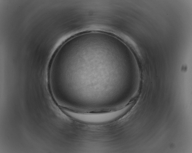 X0000094901280200711291224