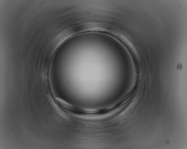 X0000094901281200711291224