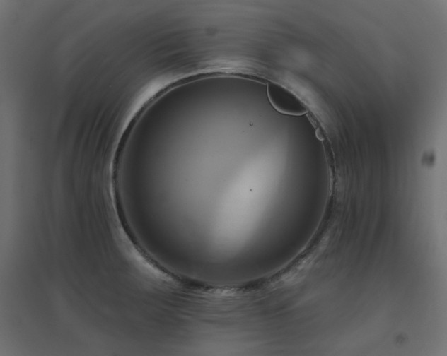 X0000094901283200711291224