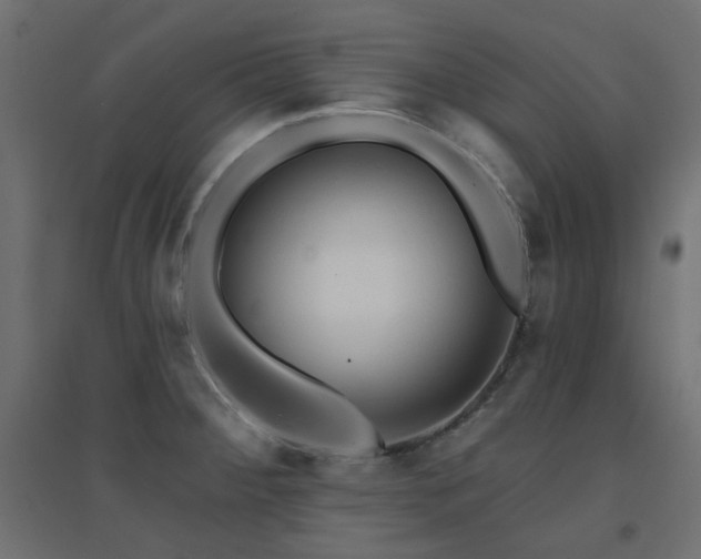 X0000094901284200711291224