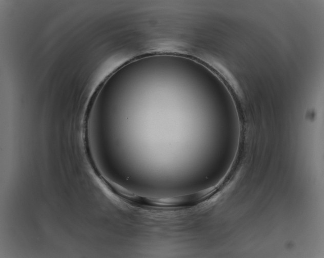 X0000094901285200711291224