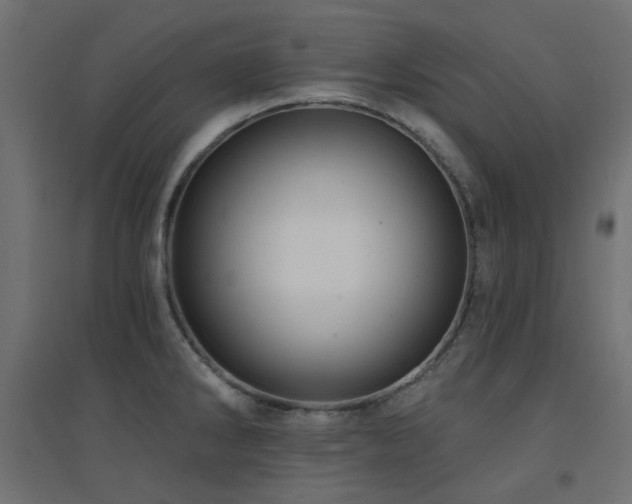 X0000094901286200711291224