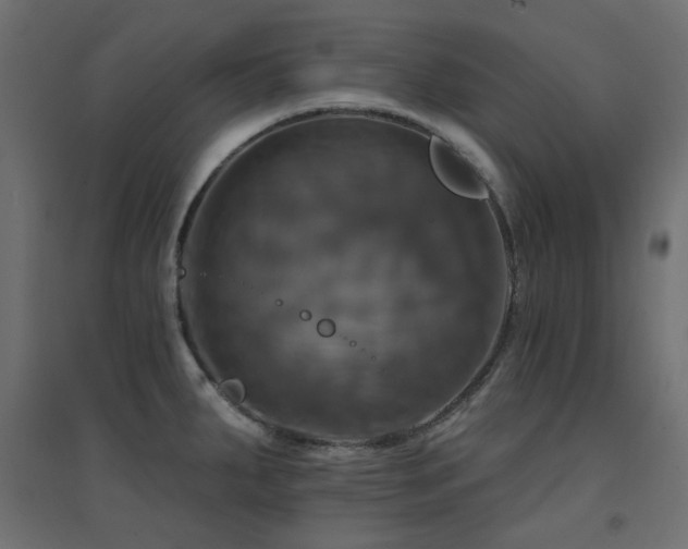 X0000094901287200711291224