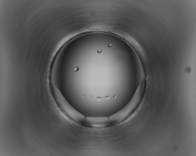 X0000094901288200711291224