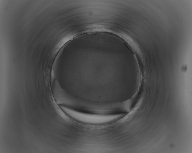 X0000094901289200711291224