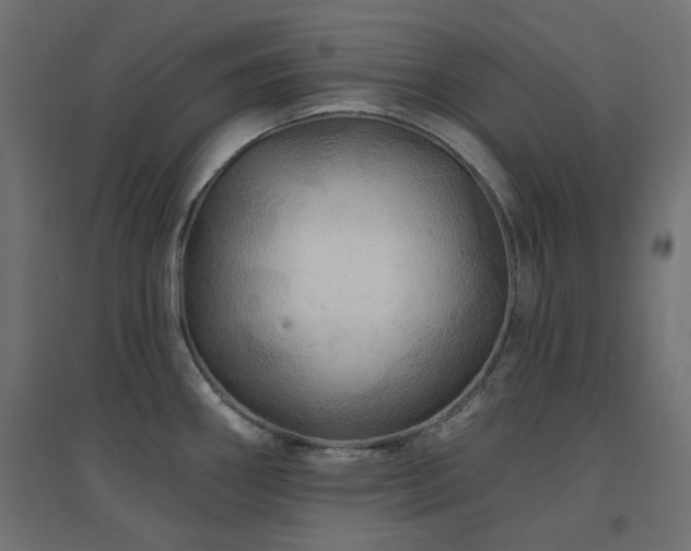 X0000094901290200711291224