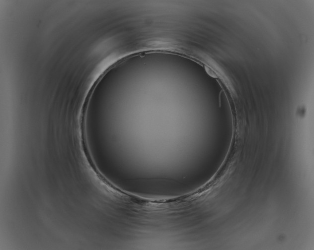 X0000094901291200711291224
