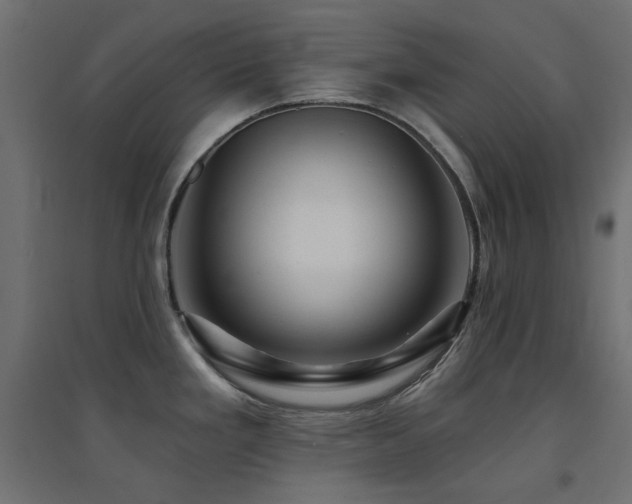 X0000094901293200711291224