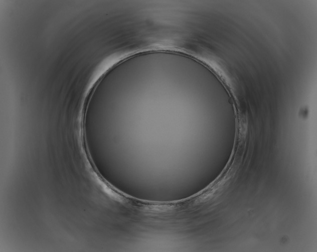 X0000094901294200711291224