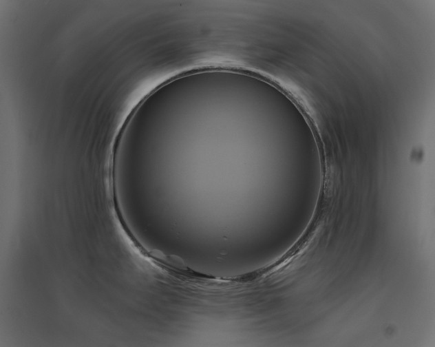 X0000094901295200711291224