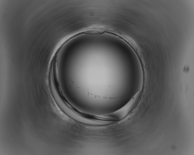 X0000094901296200711291224
