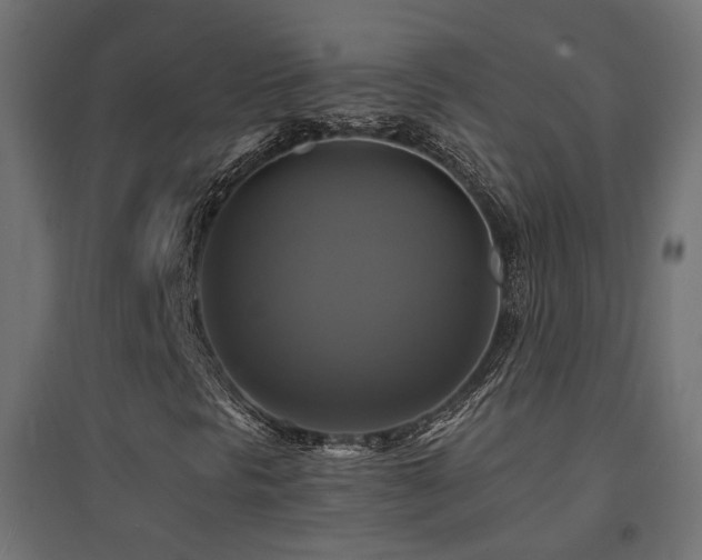 X0000094901297200711291223