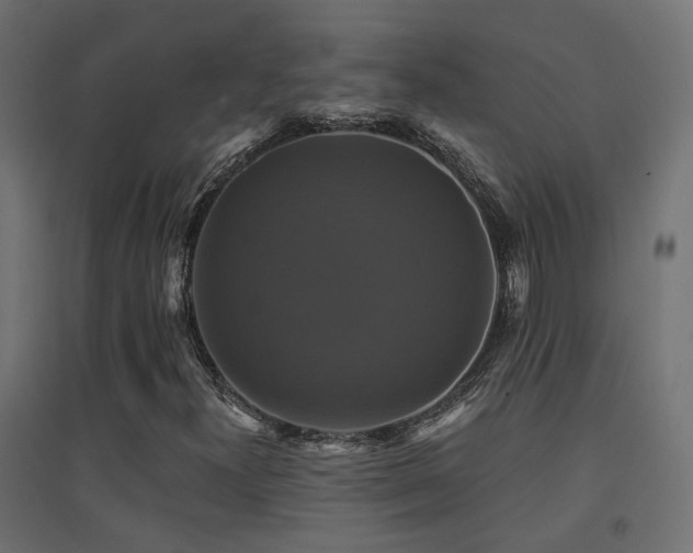 X0000094901300200711291223