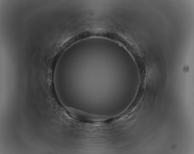 X0000094901301200711291223
