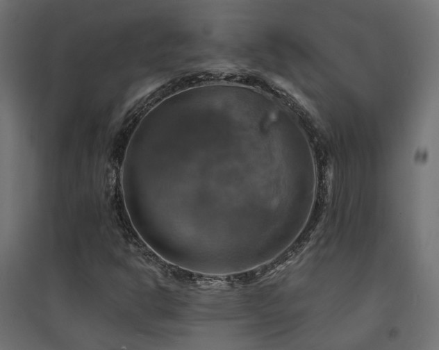 X0000094901302200711291223