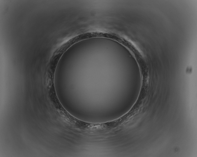 X0000094901303200711291223