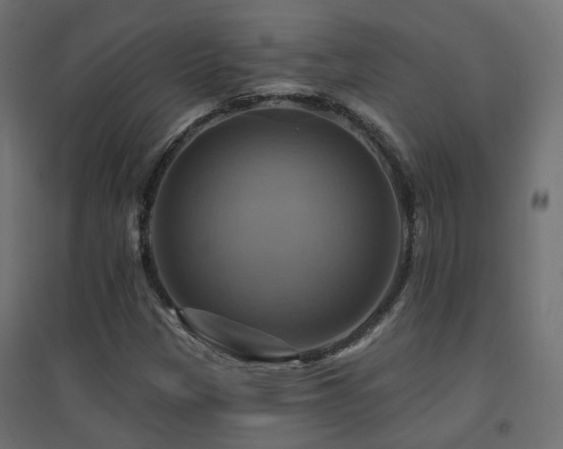 X0000094901305200711291223