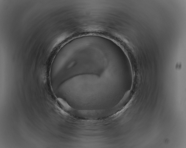 X0000094901306200711291223