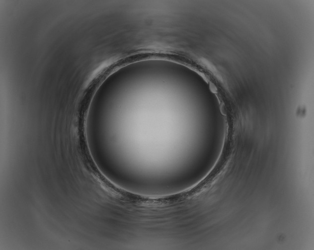 X0000094901307200711291223