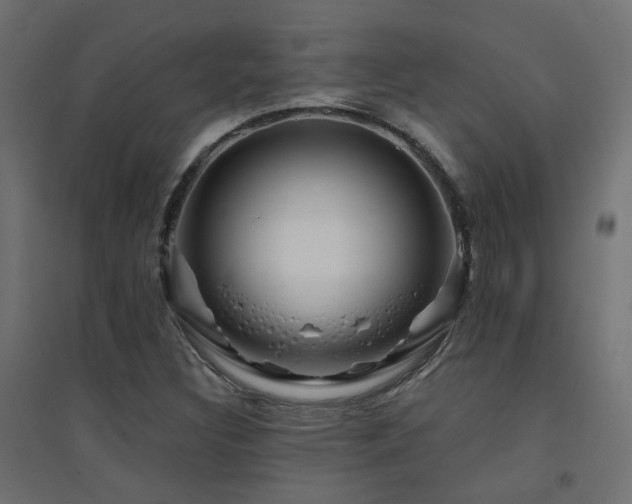X0000094901308200711291223