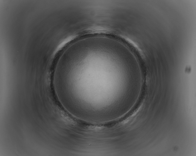 X0000094901309200711291223