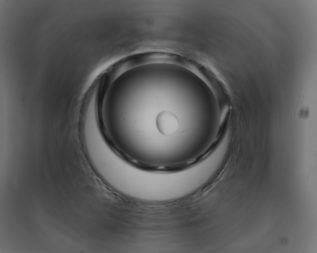 X0000094901312200711291223
