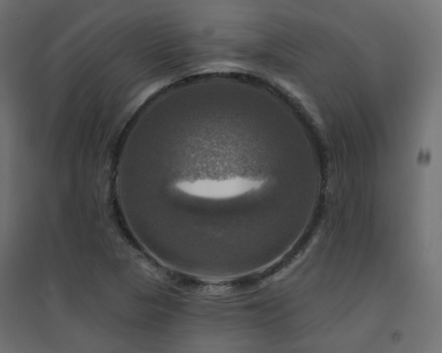 X0000094901313200711291223