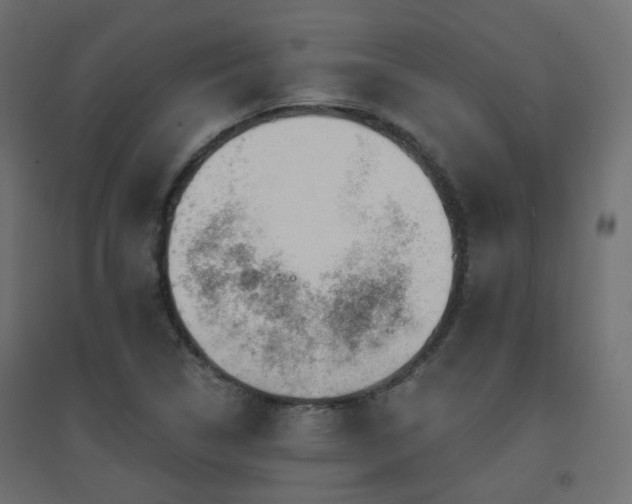X0000094901314200711291223