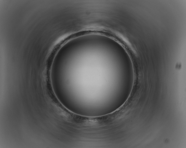 X0000094901315200711291223