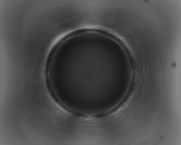 X0000094901319200711291223