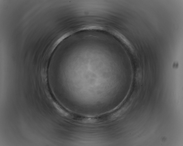 X0000094901321200711291223