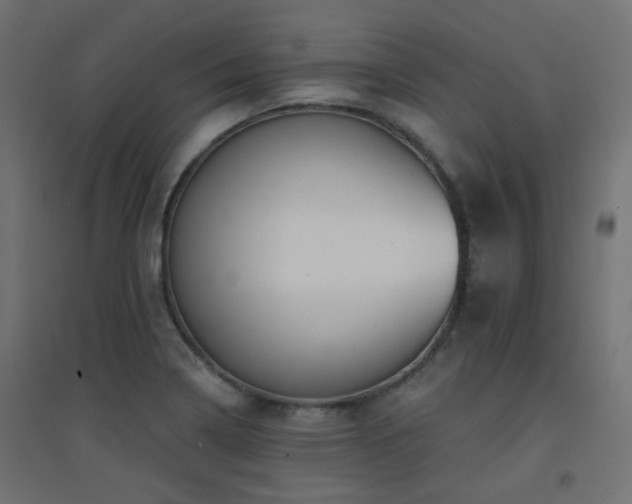 X0000094901322200711291223