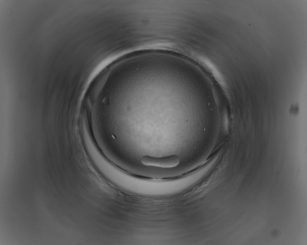 X0000094901324200711291223