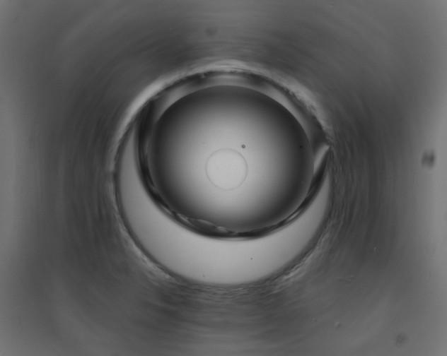 X0000094901326200711291223