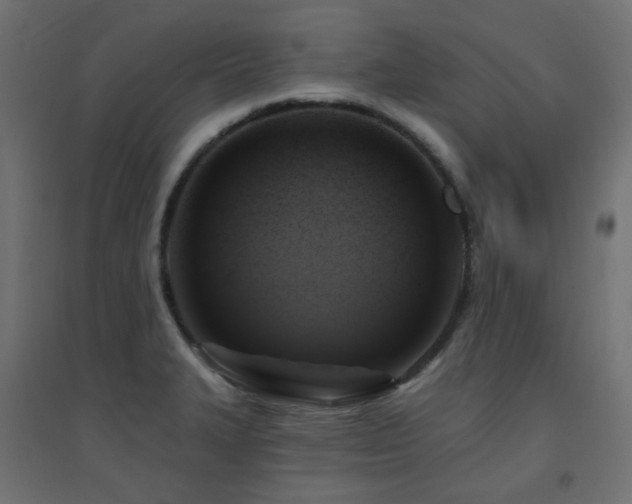 X0000094901327200711291223