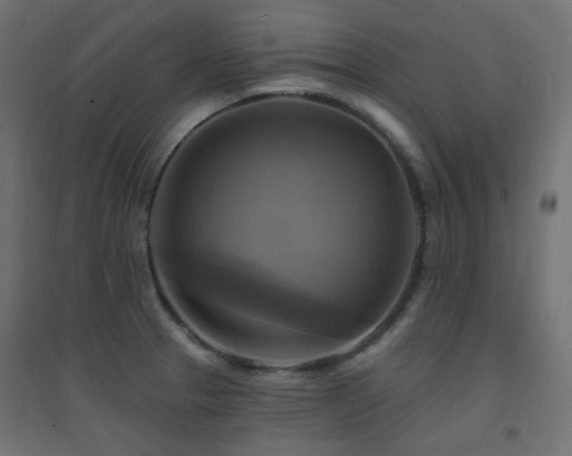 X0000094901329200711291223
