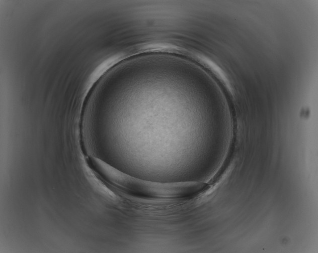 X0000094901330200711291223