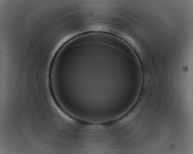 X0000094901331200711291223