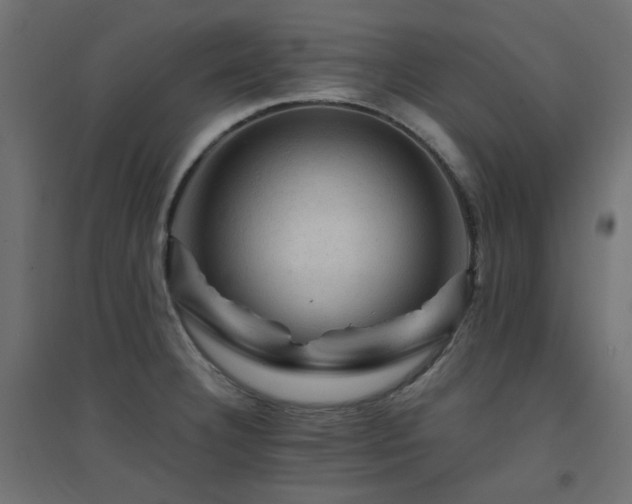 X0000094901332200711291223
