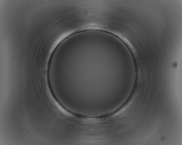 X0000094901333200711291223