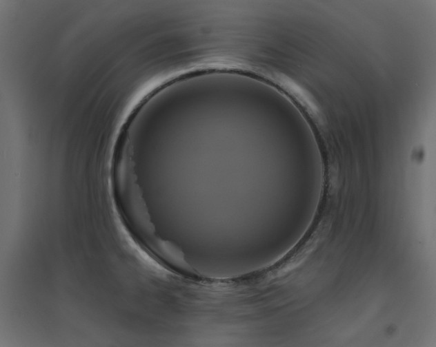 X0000094901334200711291223